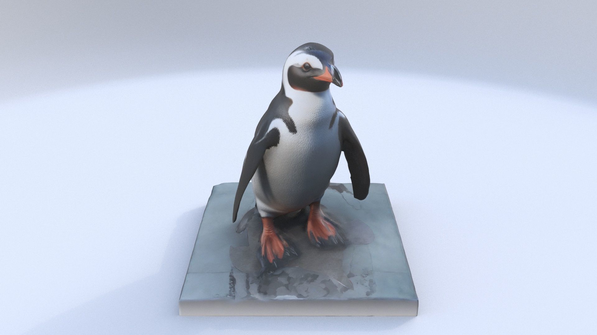 African Penguin 3D model_1