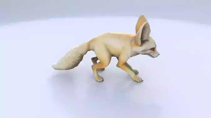 Fennec Fox