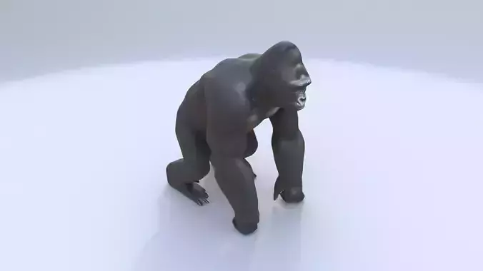 Gorilla