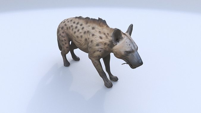 Hyena 3D model