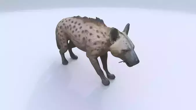Hyena