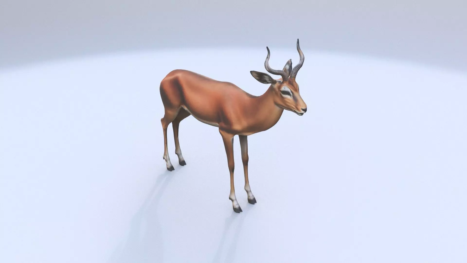 Impala 3D model_0