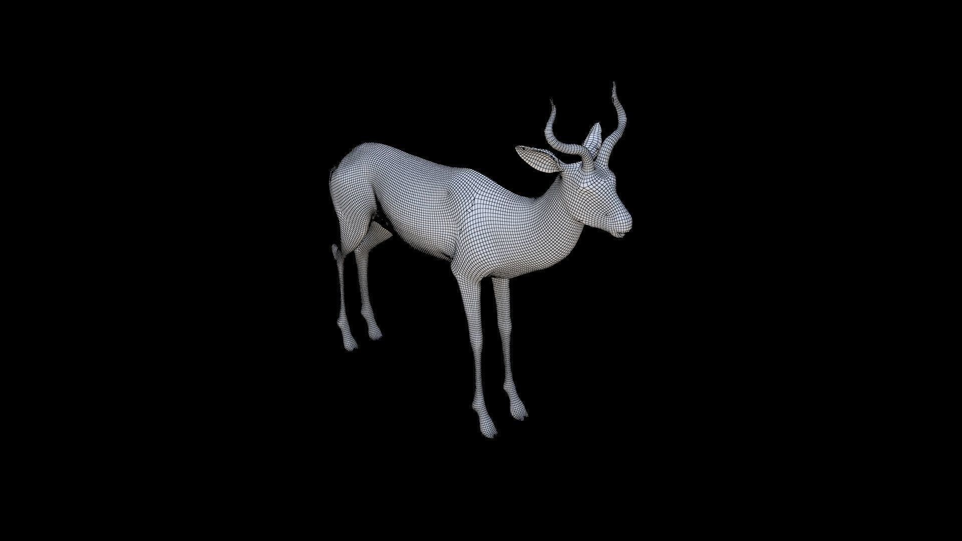 Impala 3D model_5