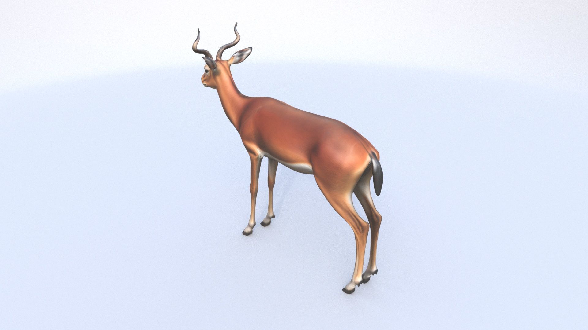 Impala 3D model_3