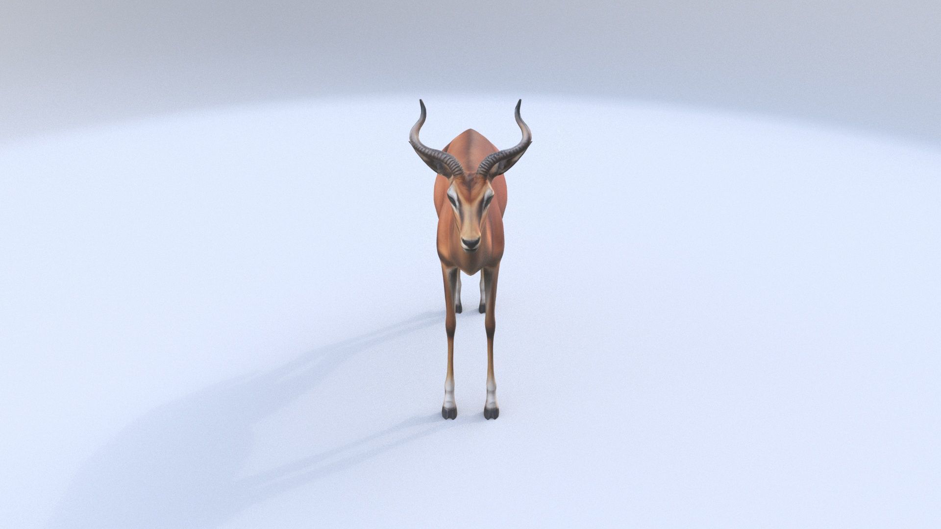 Impala 3D model_1