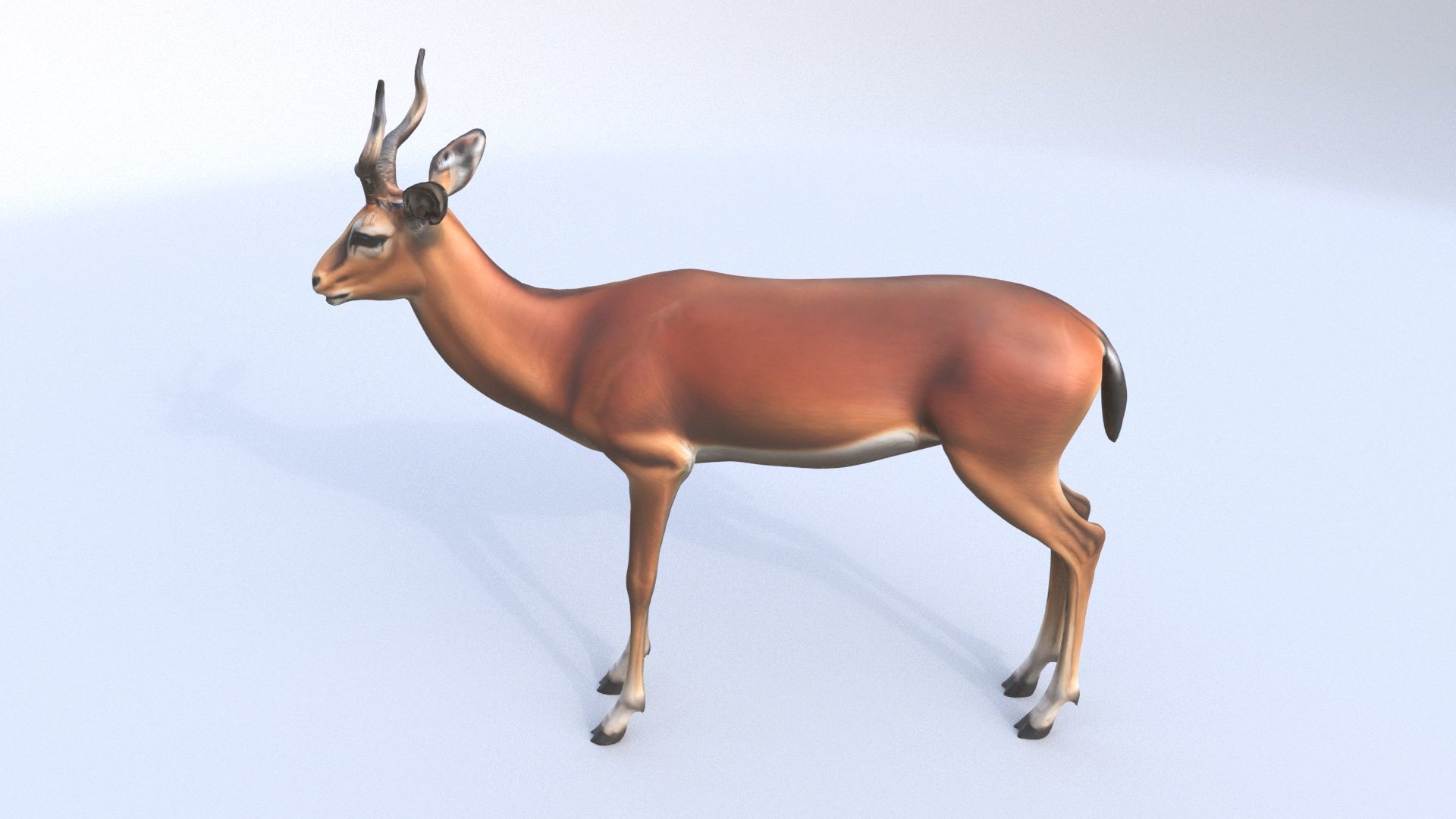 Impala 3D model_2
