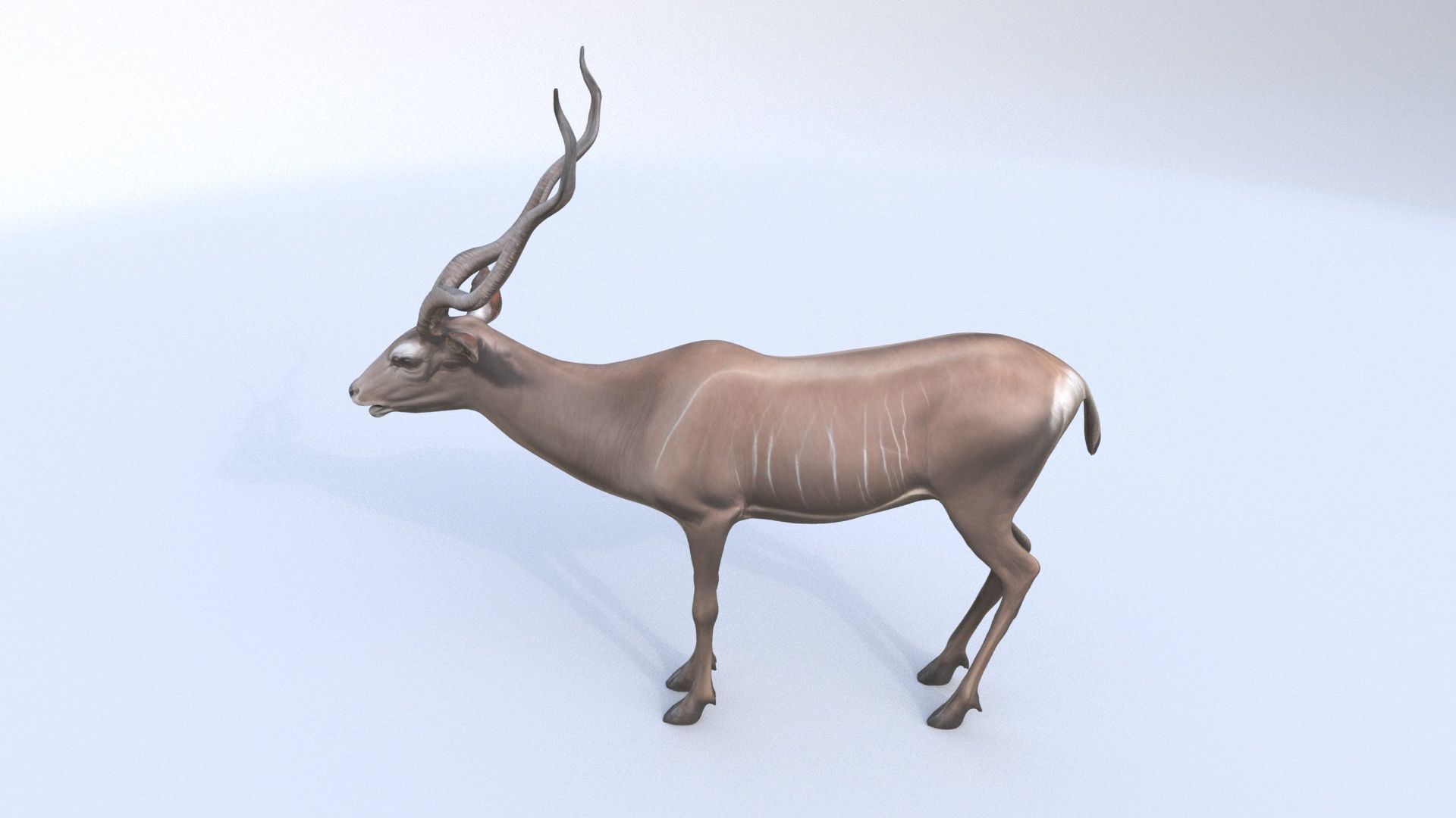 Kudu 3D model_2