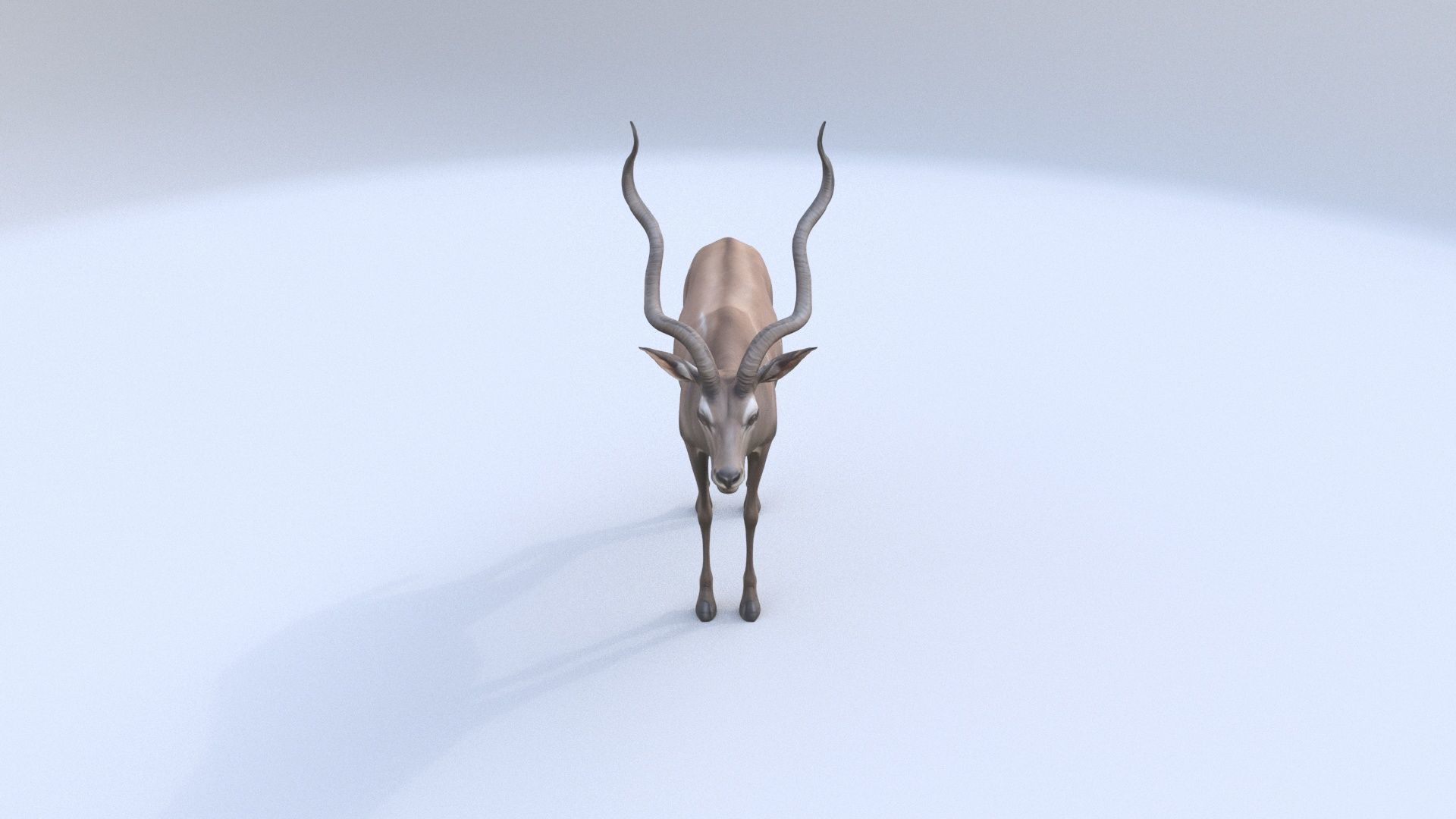 Kudu 3D model_1