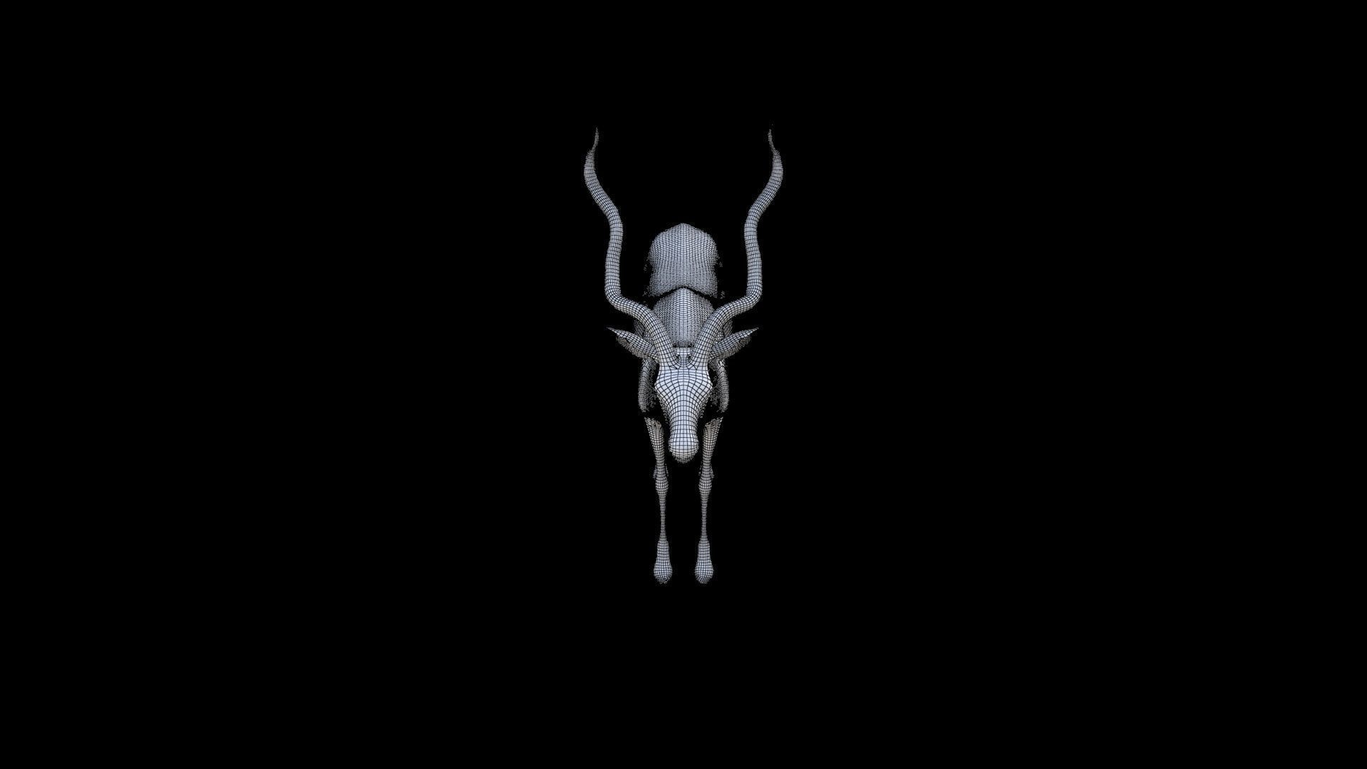 Kudu 3D model_6