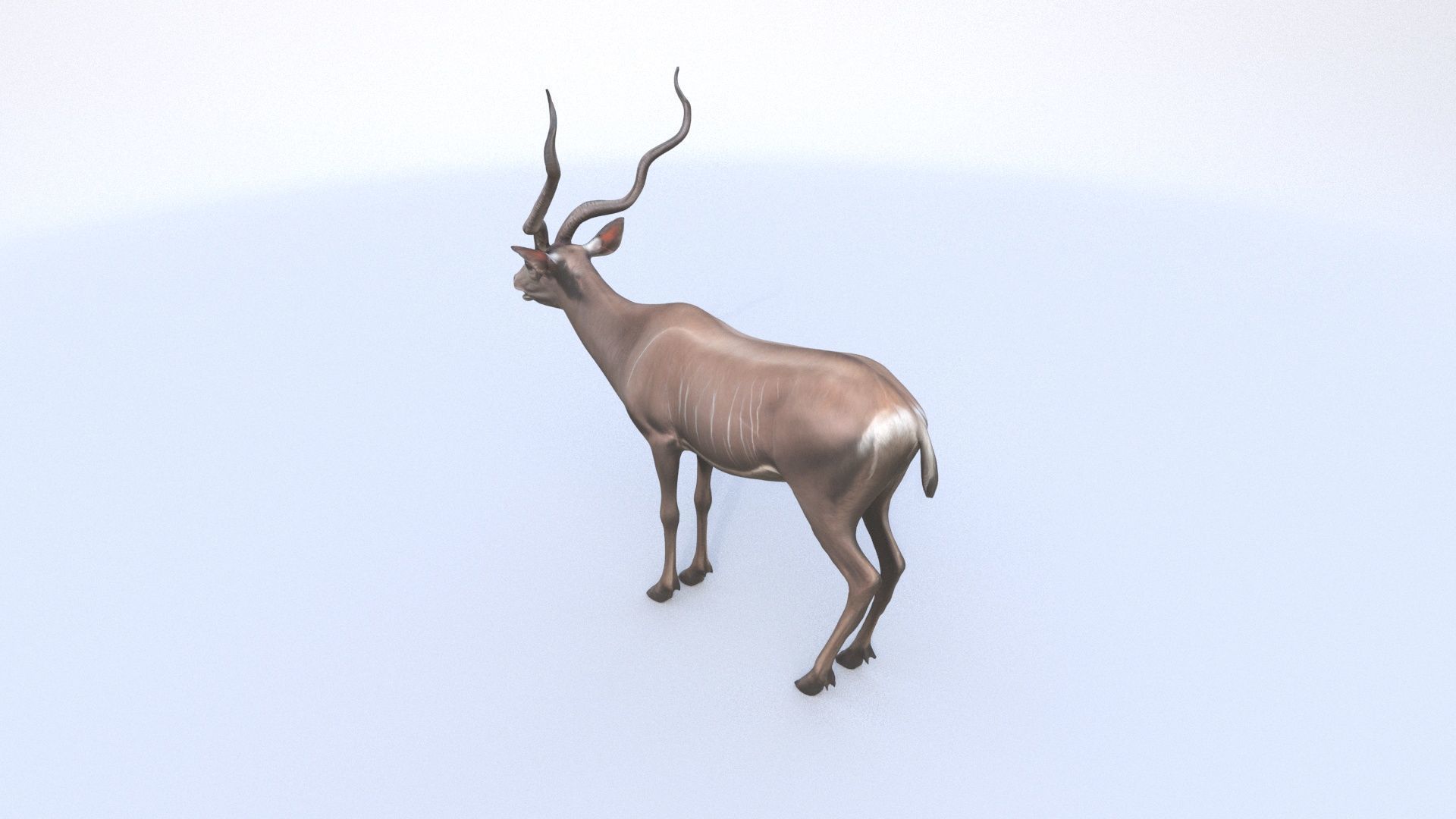 Kudu 3D model_3