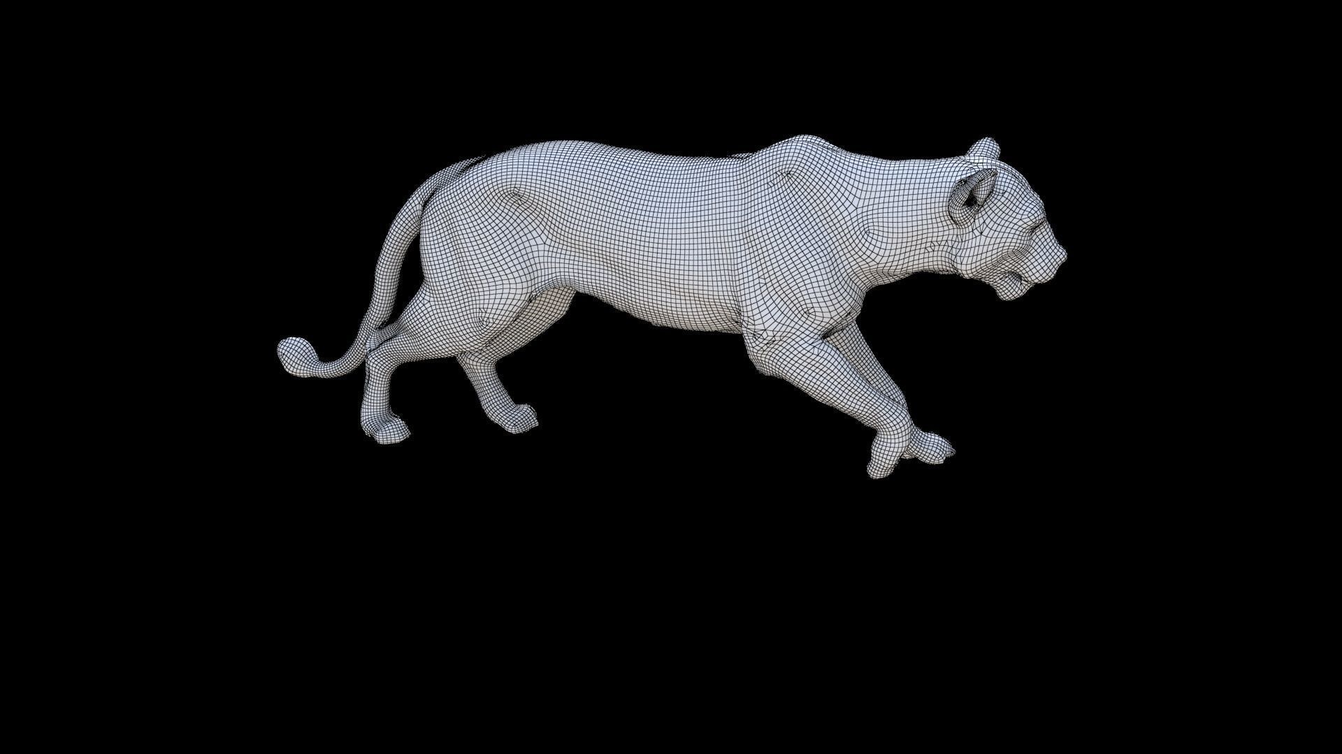 Leopard 3D model_5