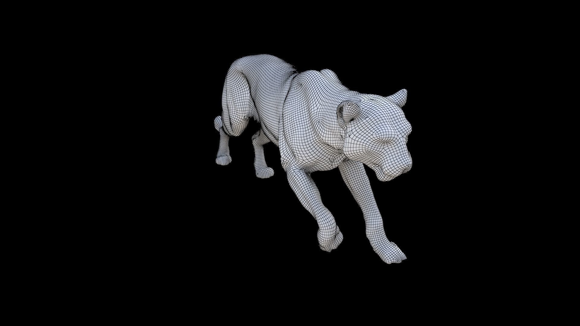Leopard 3D model_6