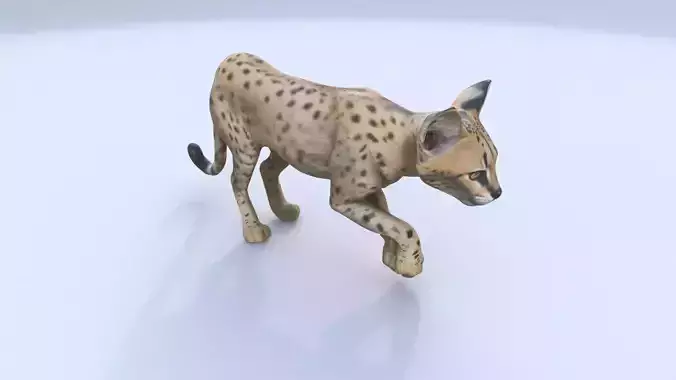 Serval