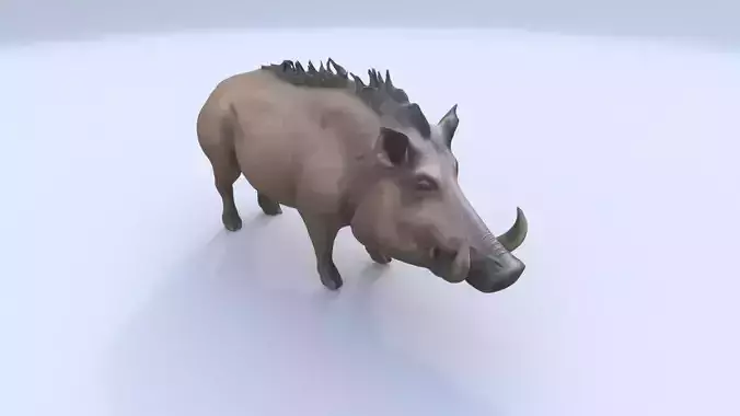 Warthog