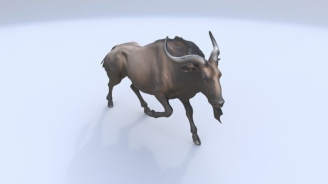 Wildebeest 3D model