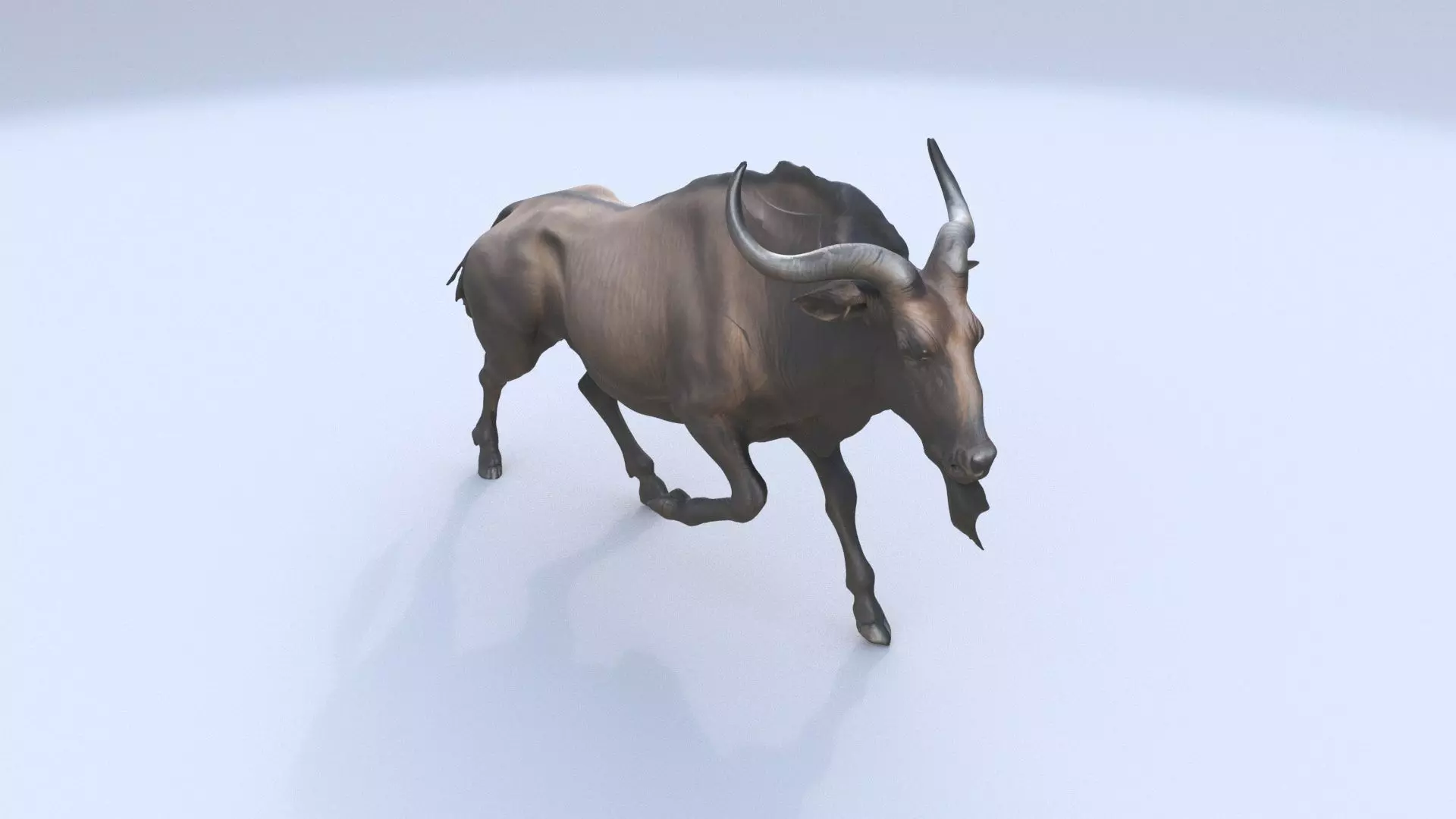 Wildebeest 3D model_0