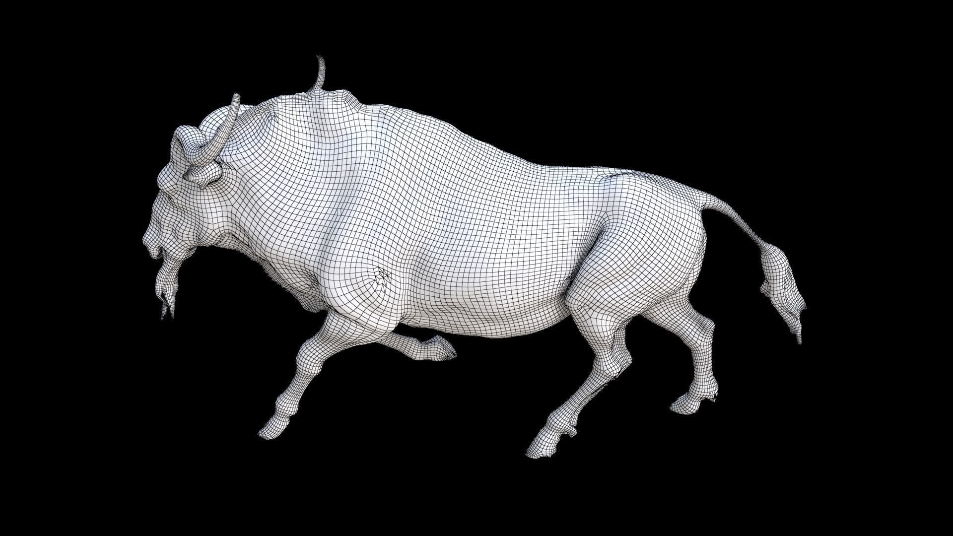 Wildebeest 3D model_7