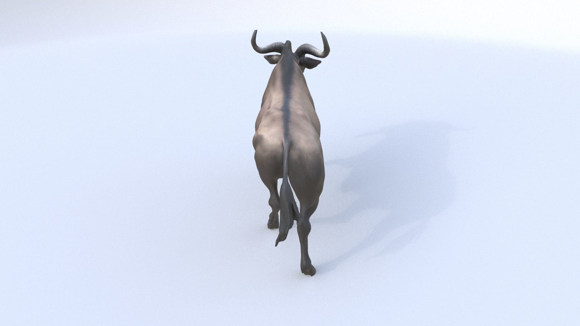 Wildebeest 3D model_4
