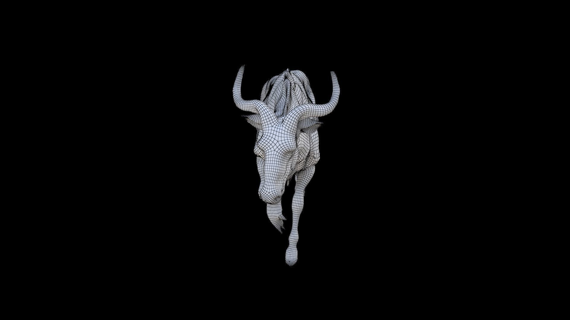Wildebeest 3D model_6
