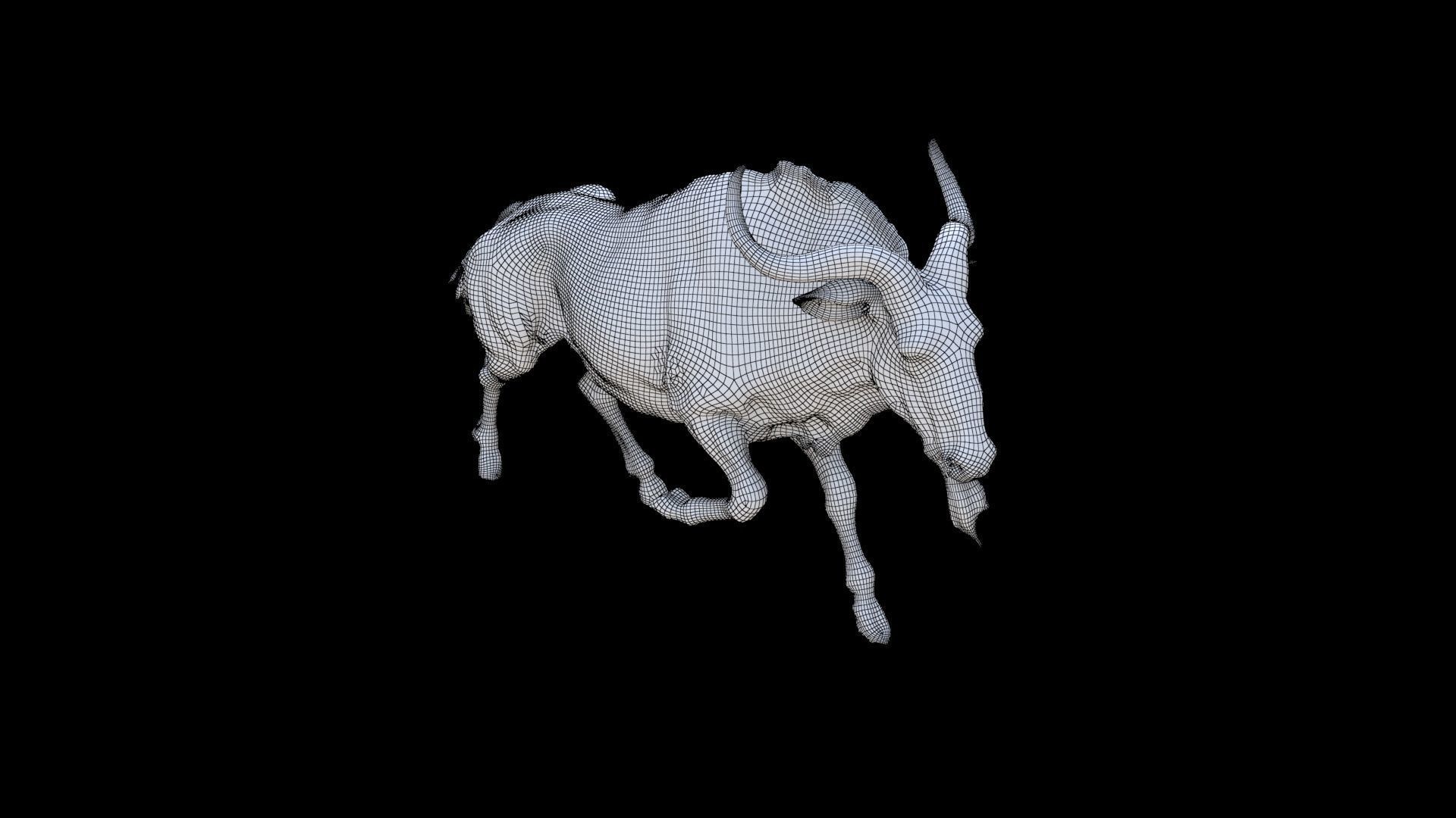 Wildebeest 3D model_5