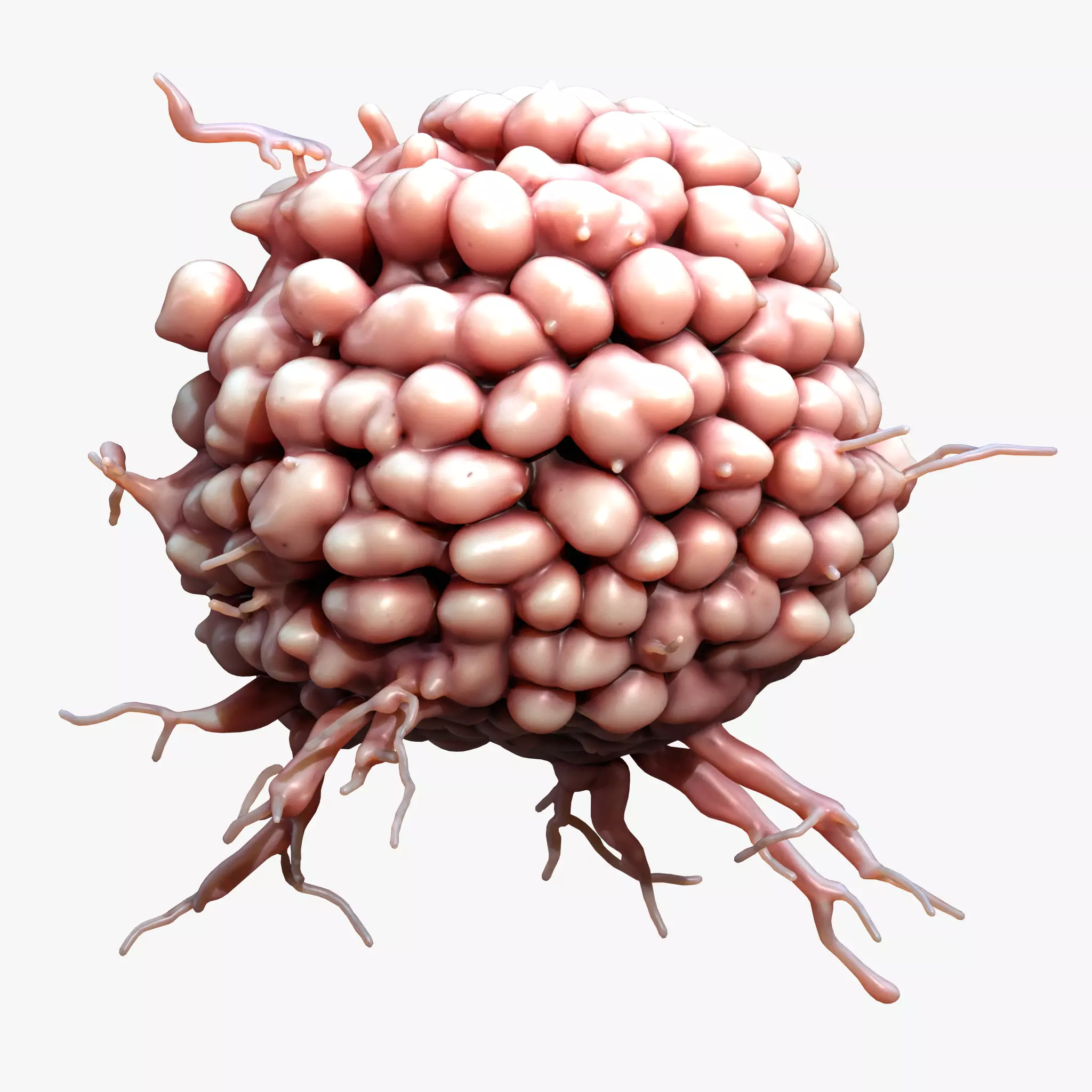 Cancer Cell Tumor 3D model