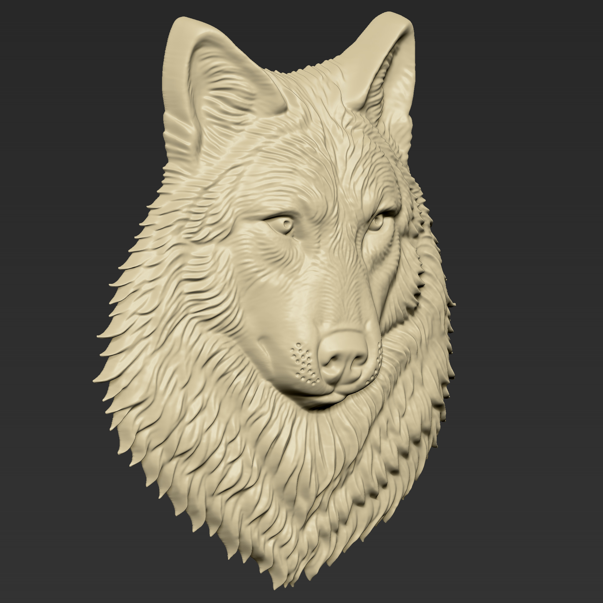 Wolf Head A43 3D print model_1