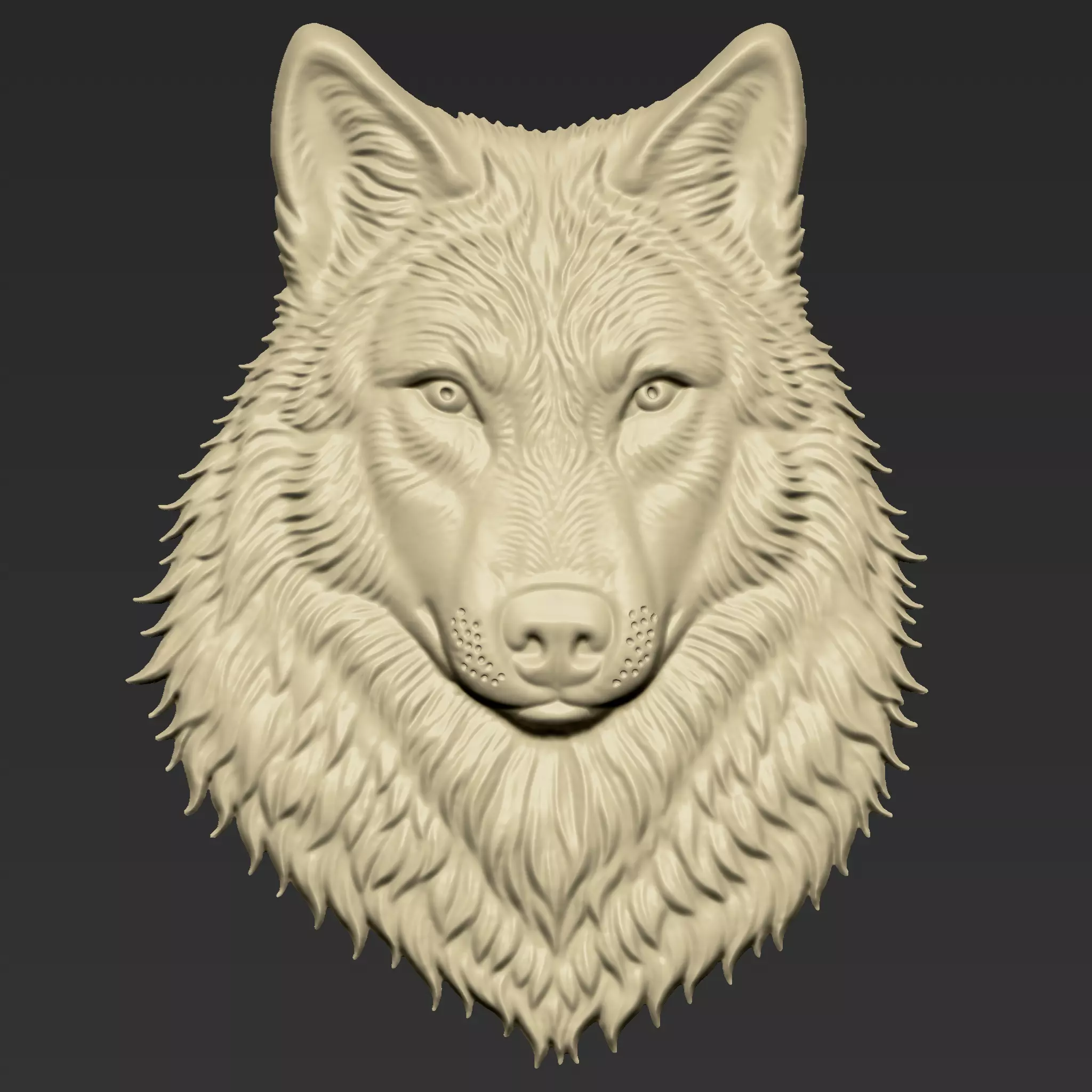 Wolf Head A43 3D print model_0