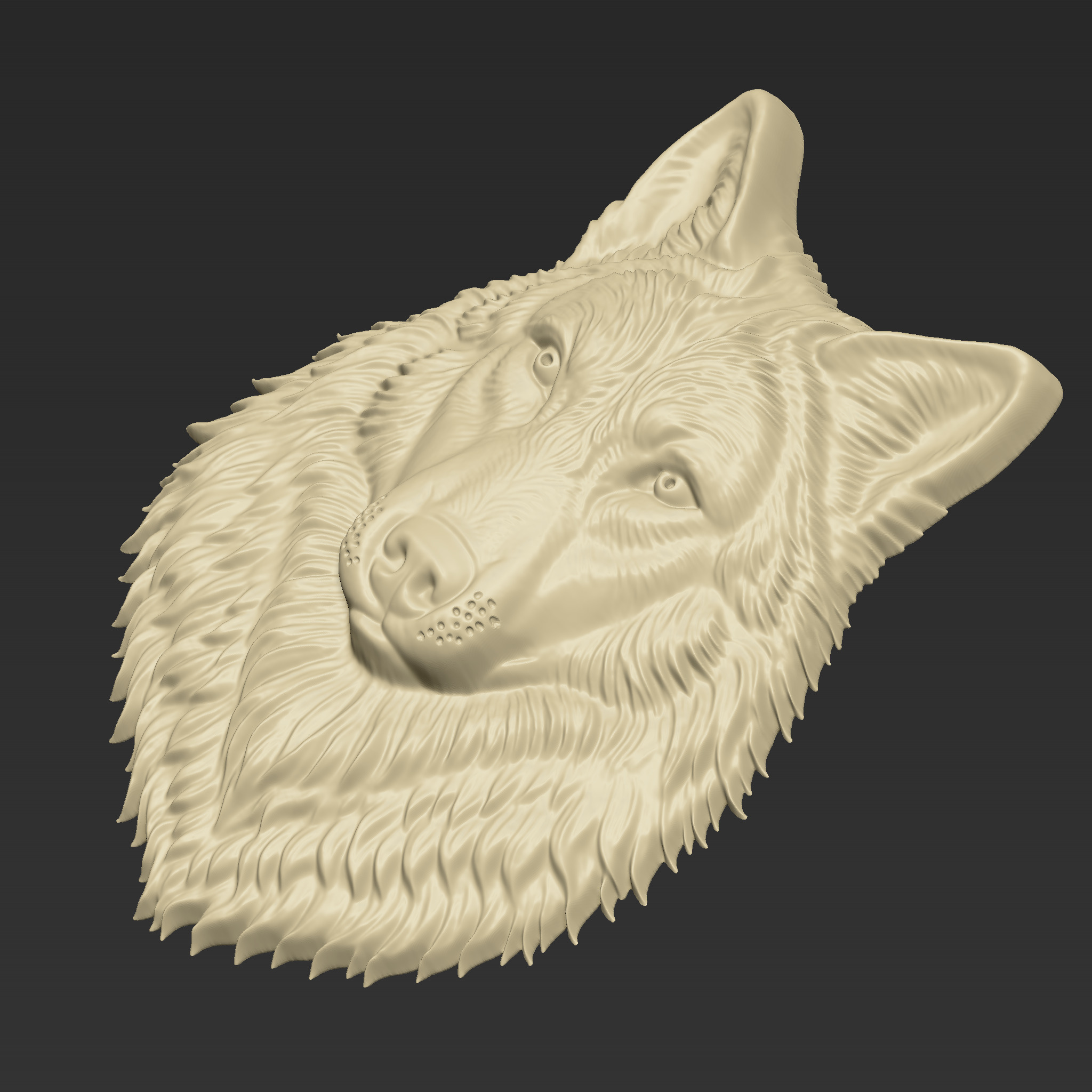Wolf Head A43 3D print model_3
