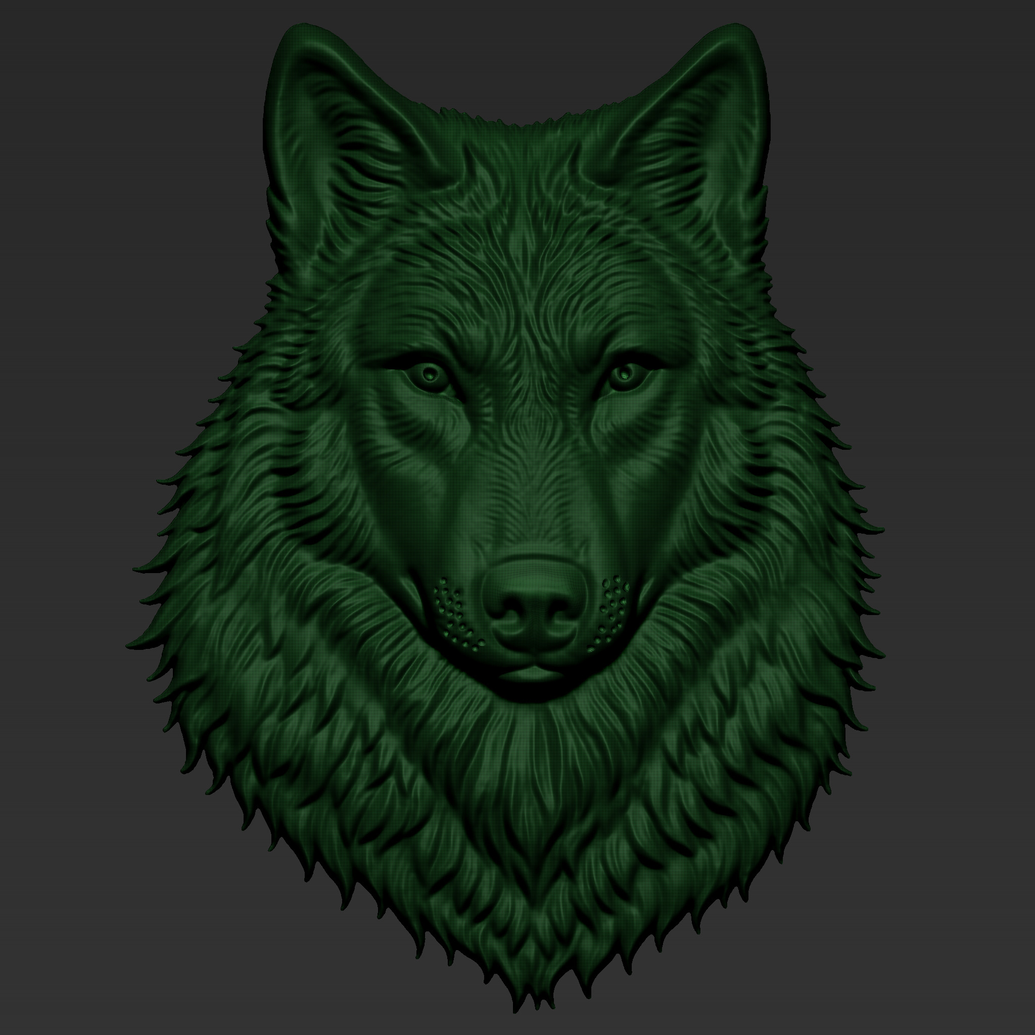 Wolf Head A43 3D print model_5