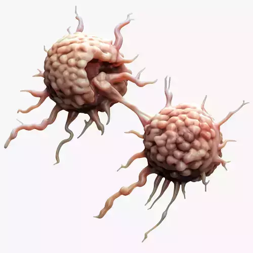 Cancer Cell Tumor
