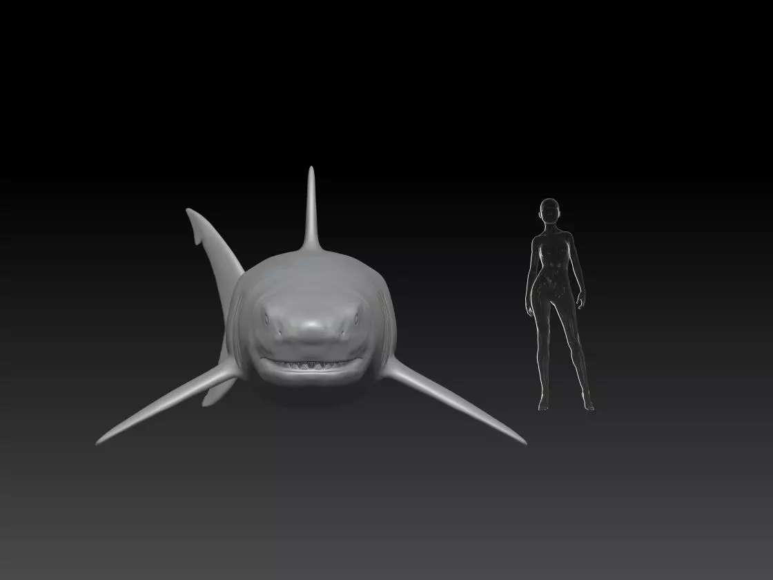 Great White Shark pose 1 3D print model