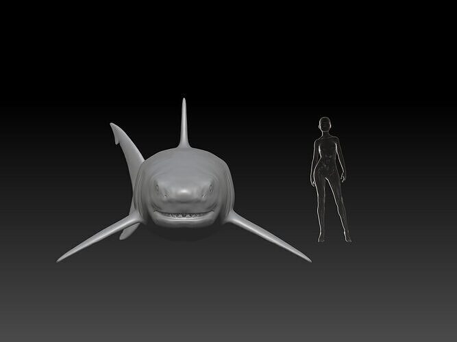 Great White Shark pose 1 3D print model