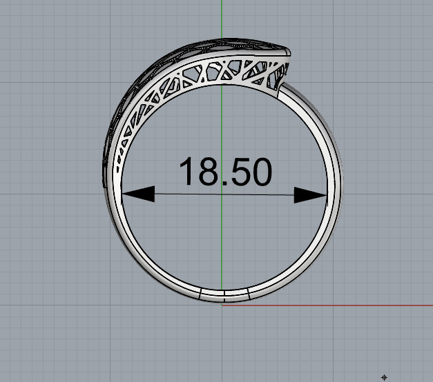Lightweight ring 3D print model_3