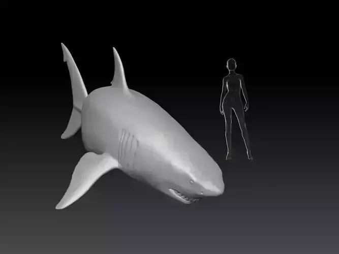 Great White Shark pose 2 3D print model