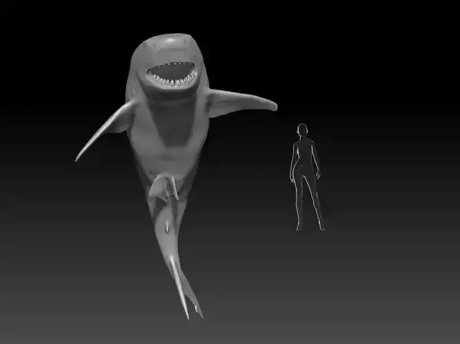 Great White Shark pose 3