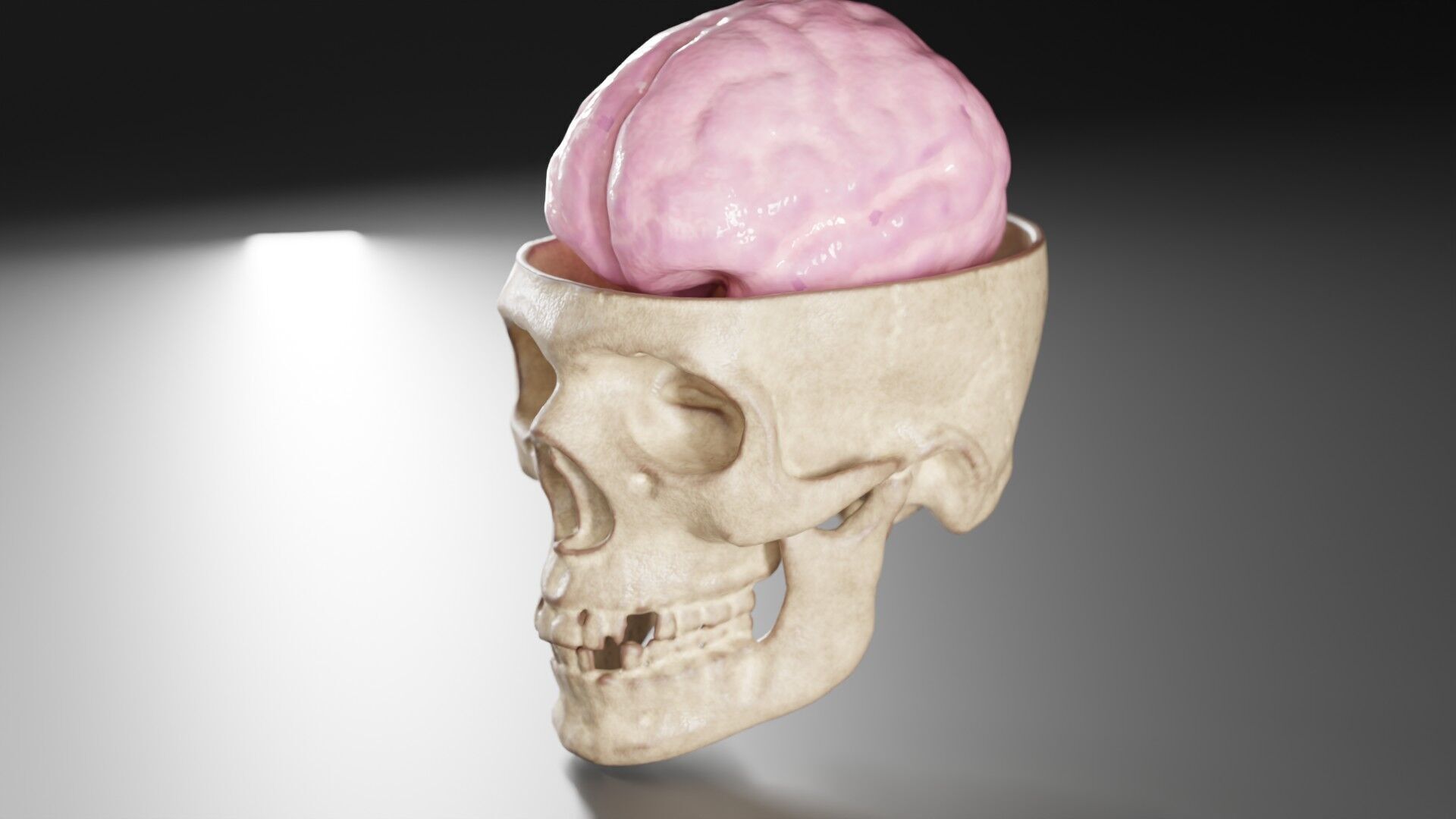 Liquid Brain Animation 3D model_2