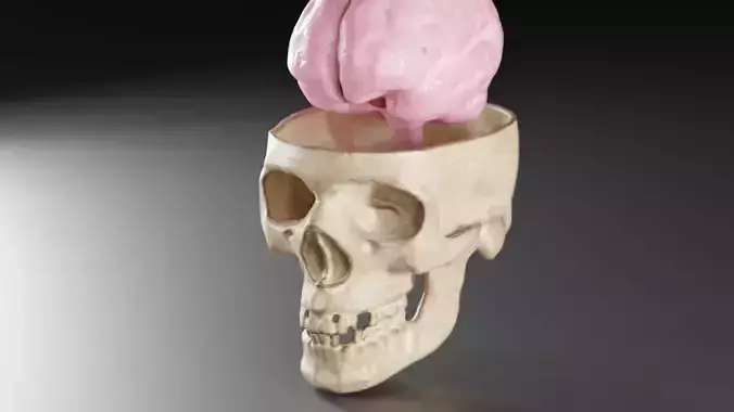 Liquid Brain Animation