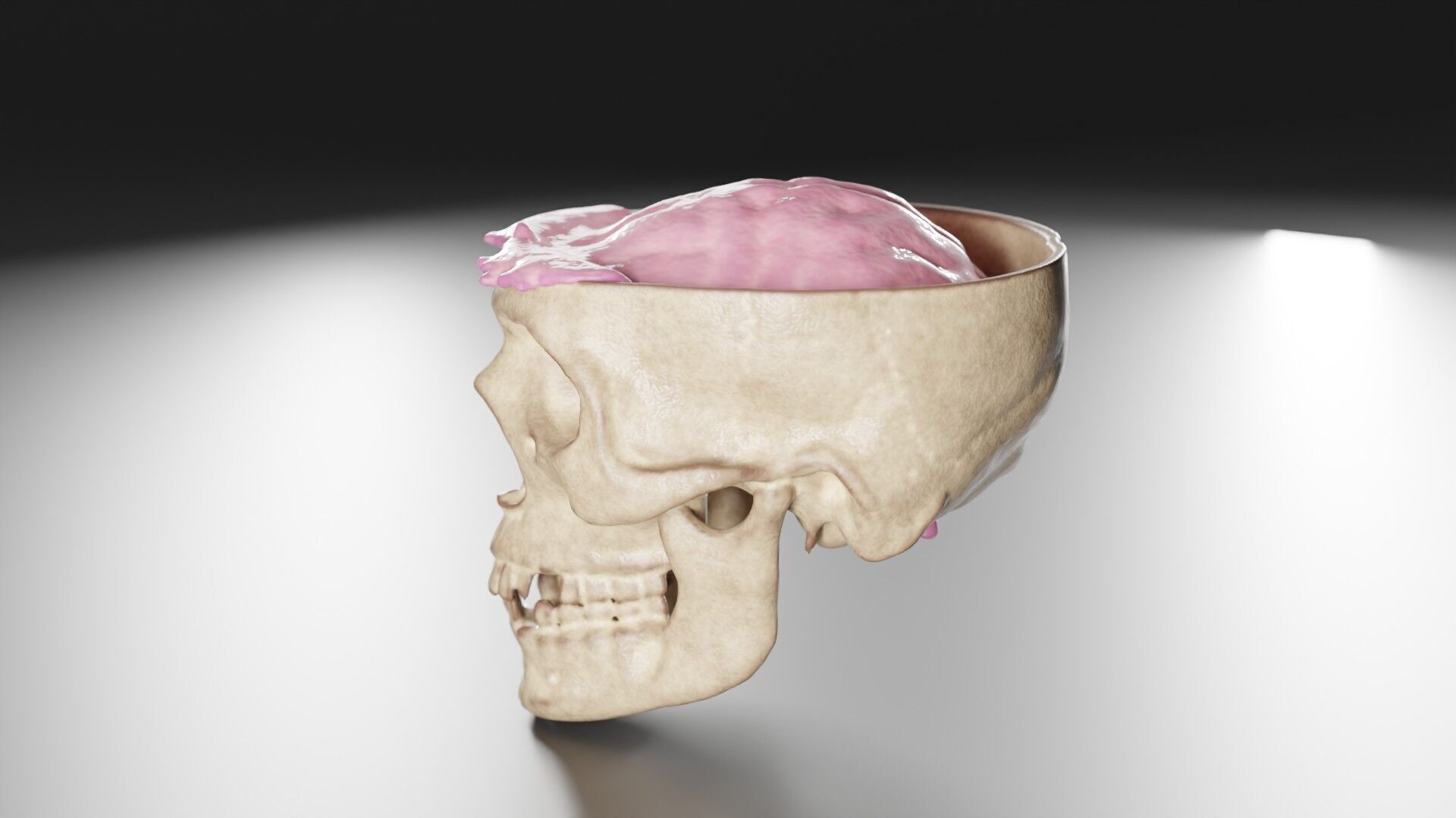 Liquid Brain Animation 3D model_4