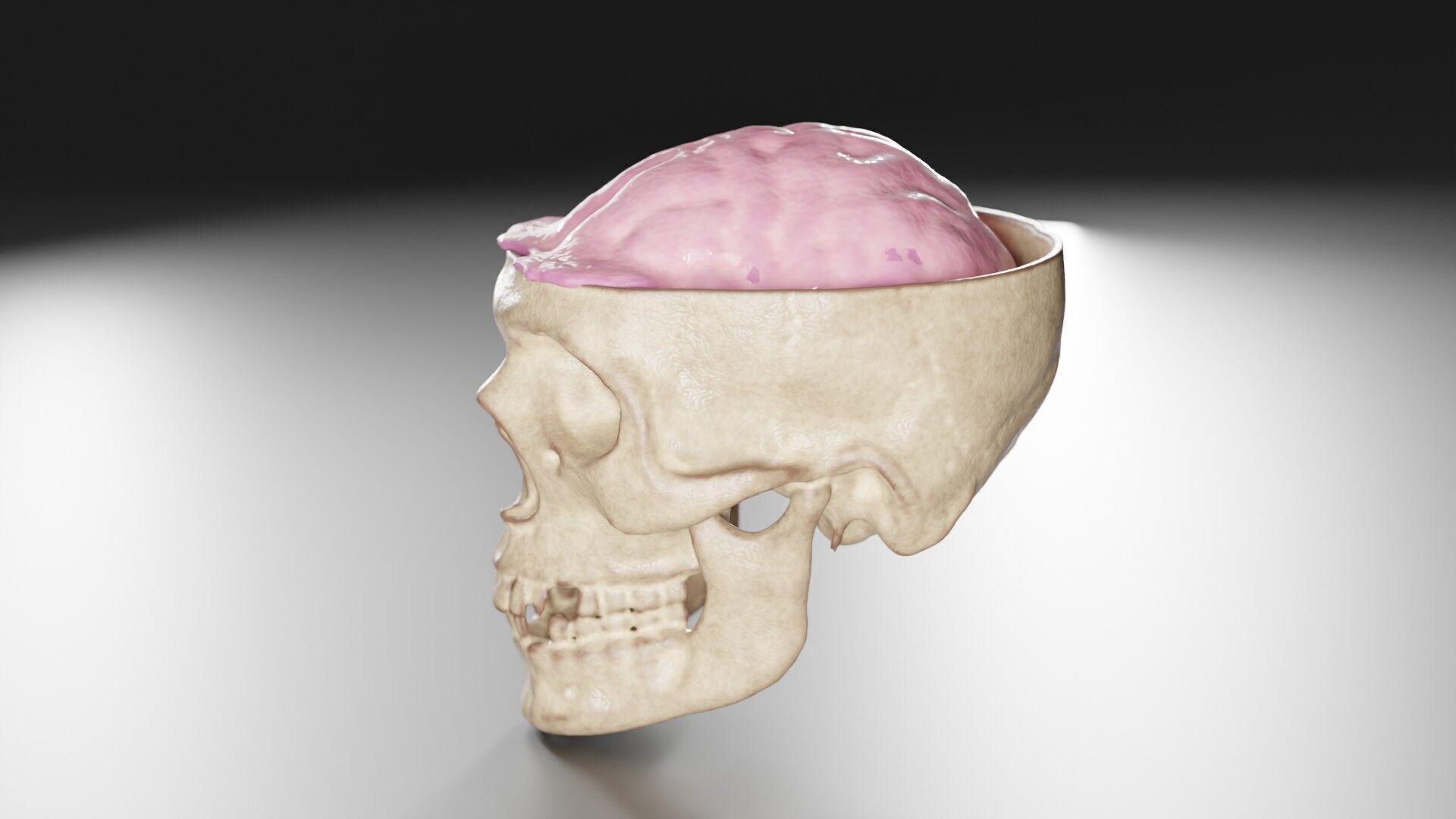 Liquid Brain Animation 3D model_3