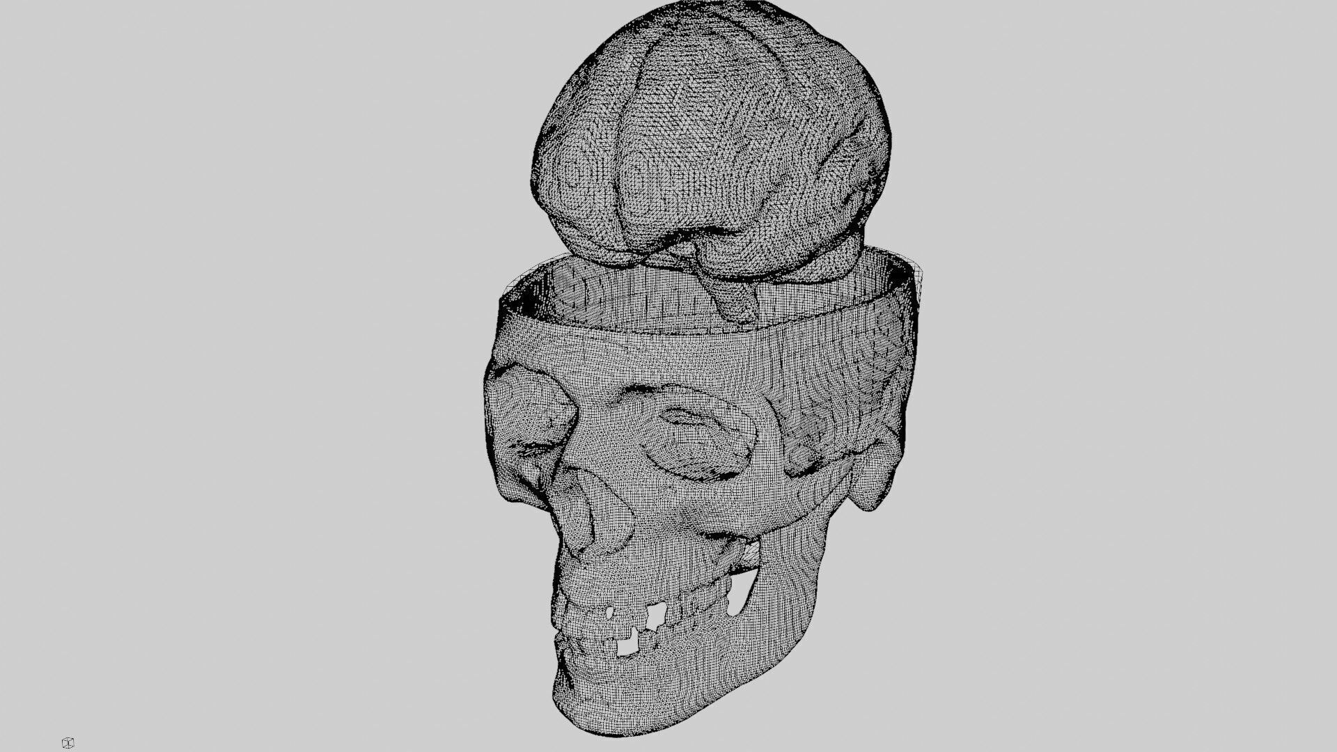 Liquid Brain Animation 3D model_14