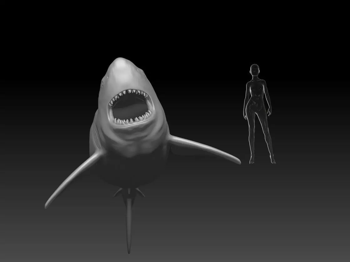 Great White Shark pose 4 3D print model