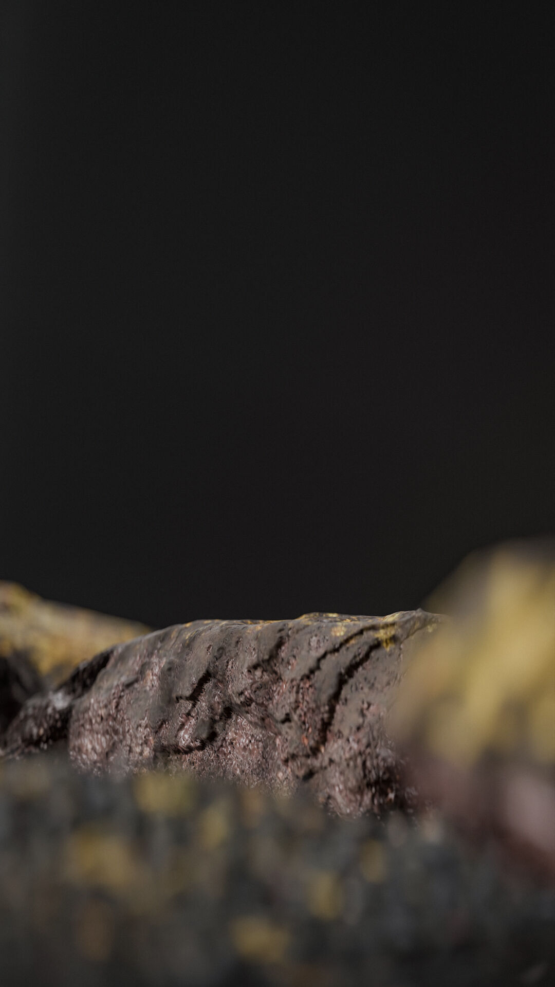 Bottle perfume on rocky surface Low-poly 3D model_55