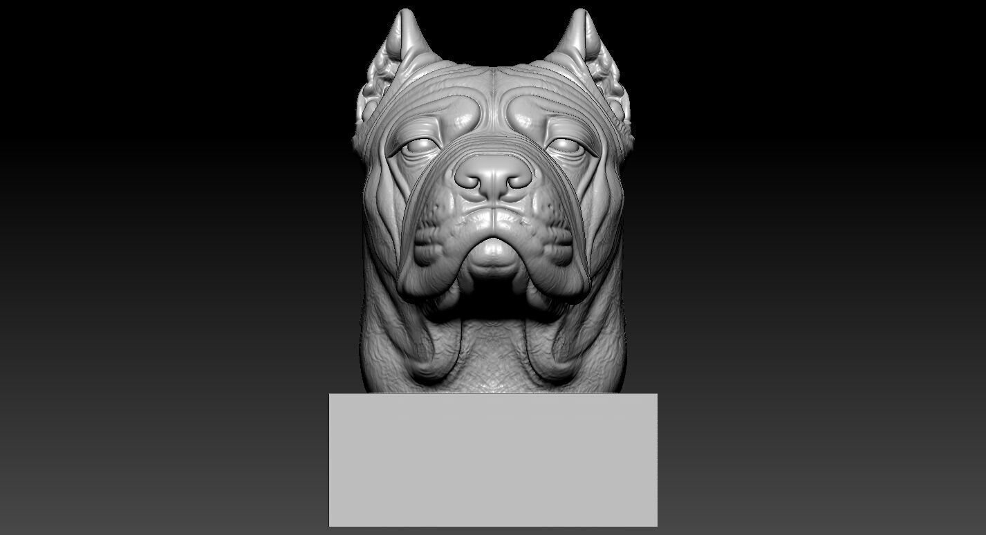 Dog American bully bust model - 3D print 3D print model_2