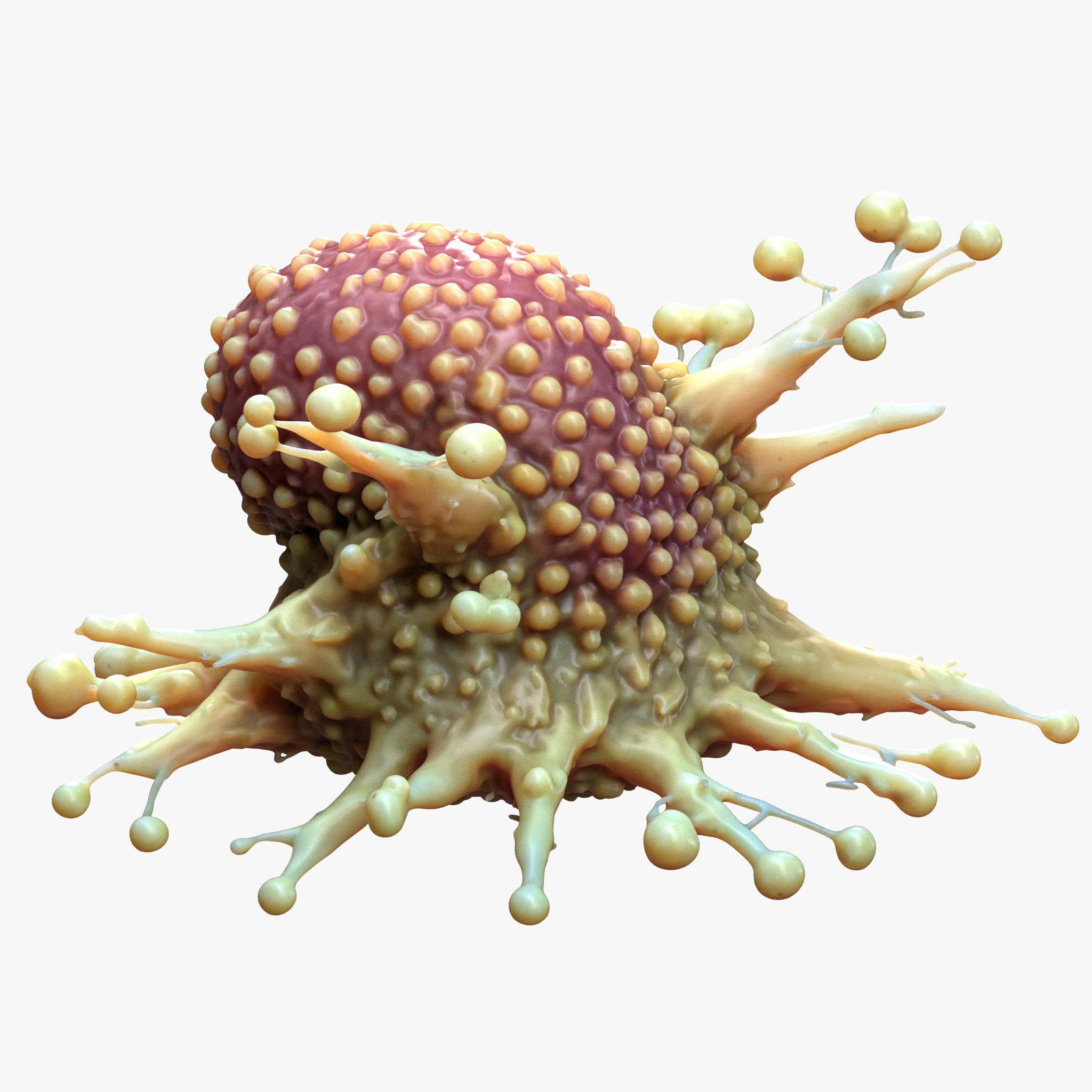 Cancer Cell Tumor 3D model_1