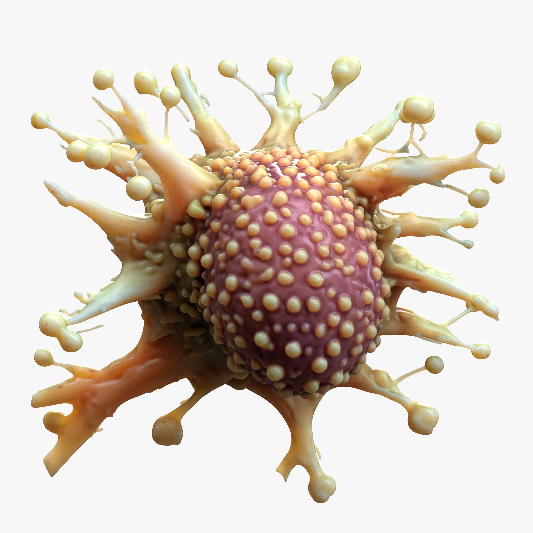 Cancer Cell Tumor 3D model_2