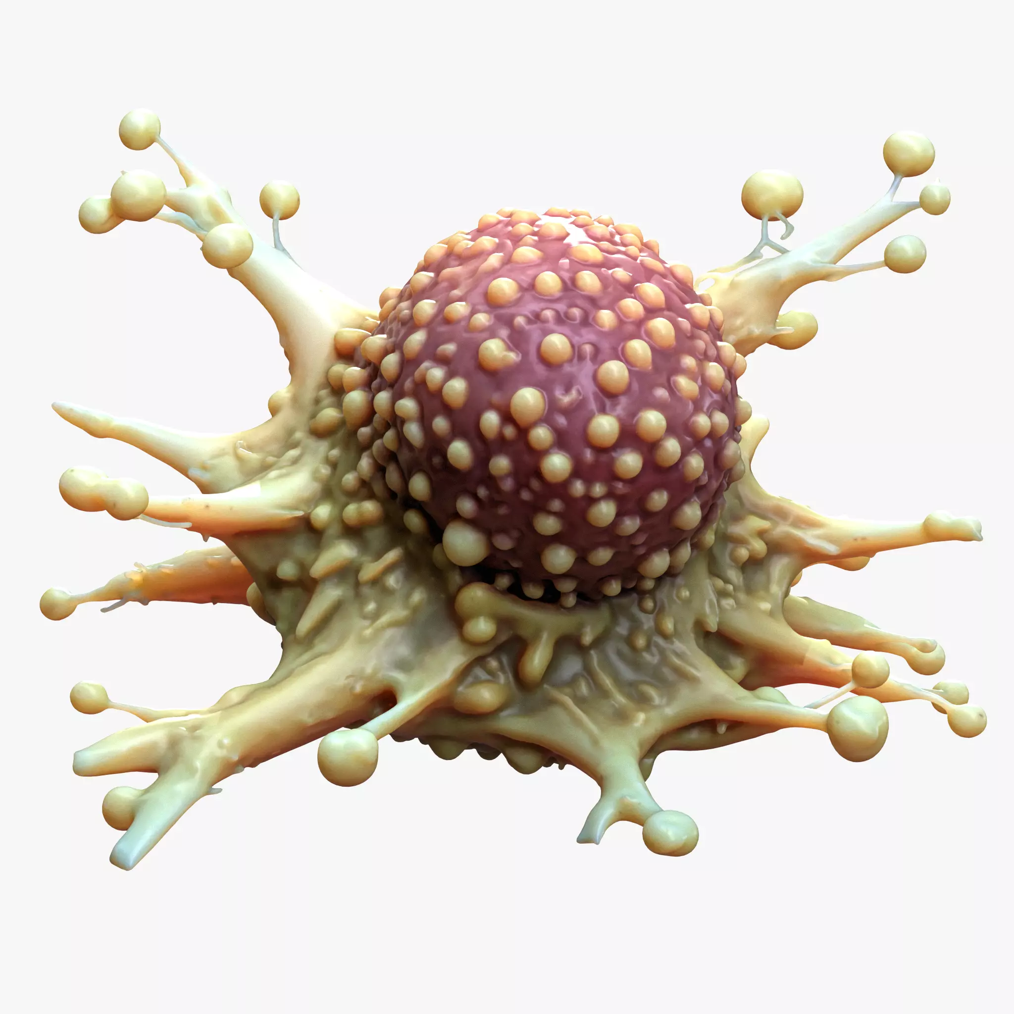 Cancer Cell Tumor 3D model_0