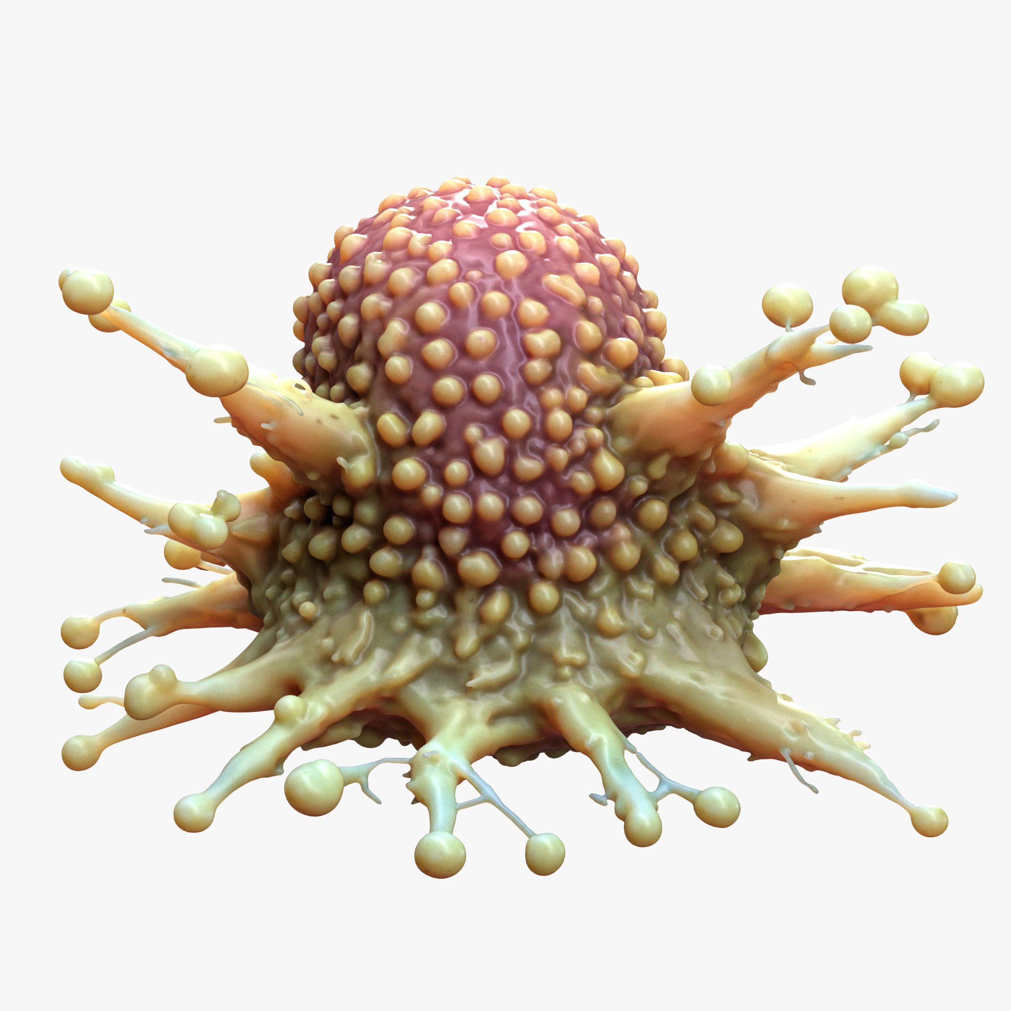 Cancer Cell Tumor 3D model_5