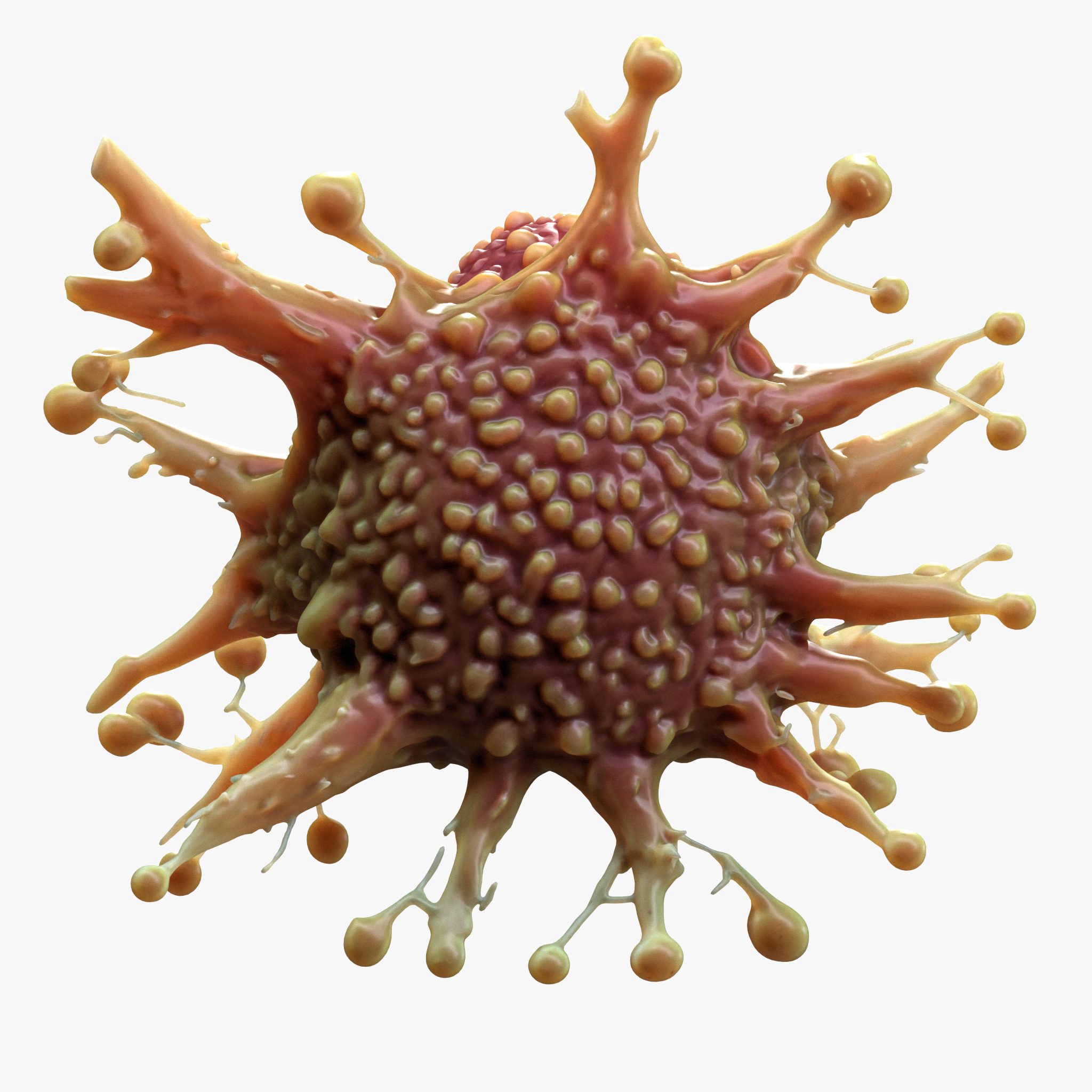 Cancer Cell Tumor 3D model_3