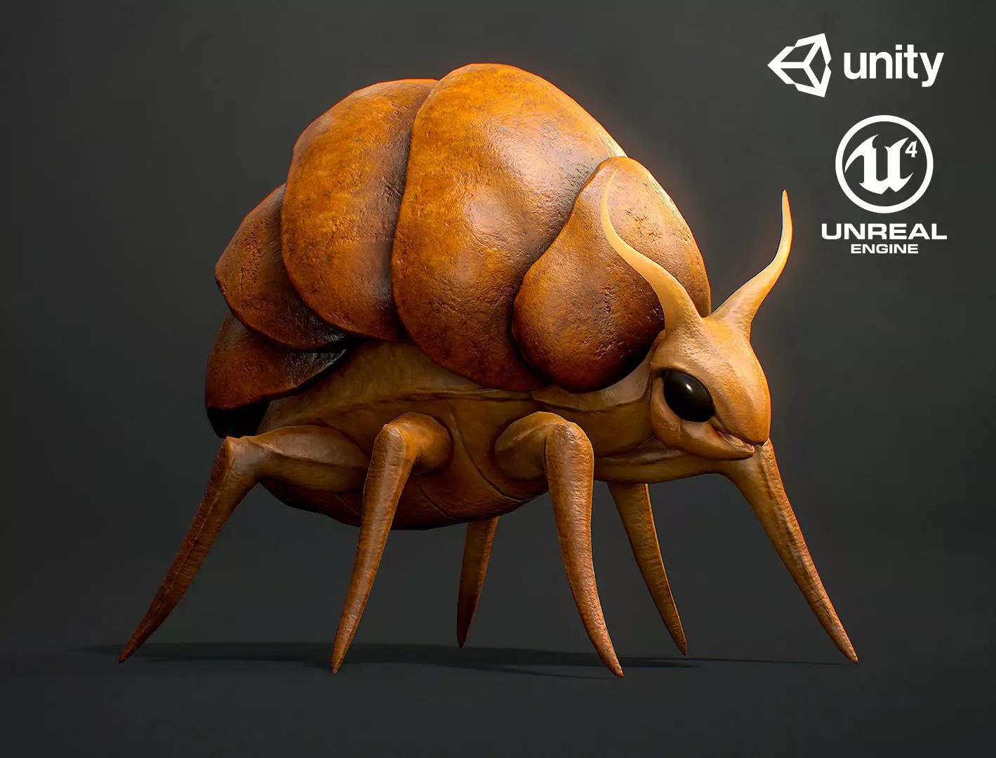 Worker Beetle - Game Ready Low-poly 3D model Low-poly 3D model_0