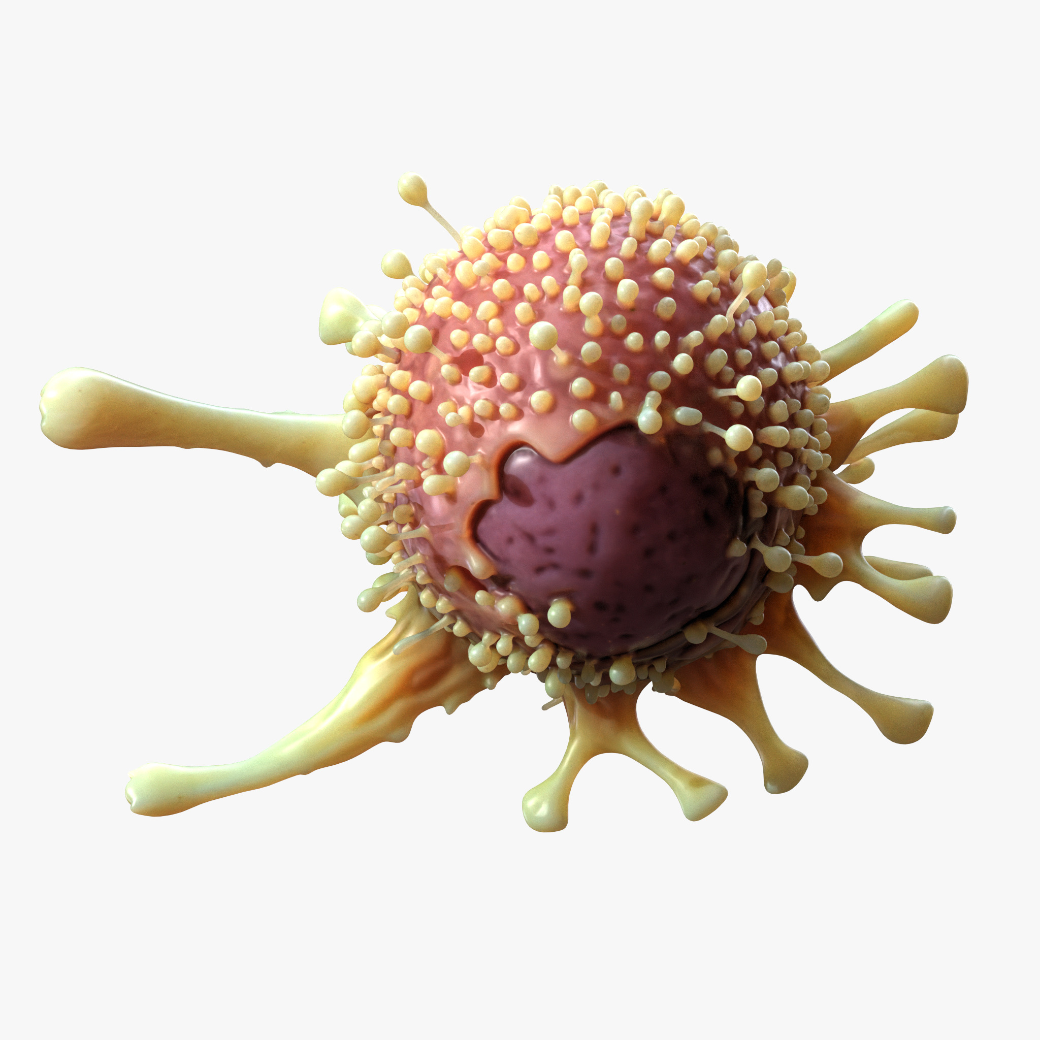  Cancer Cell Tumor 3D model_3